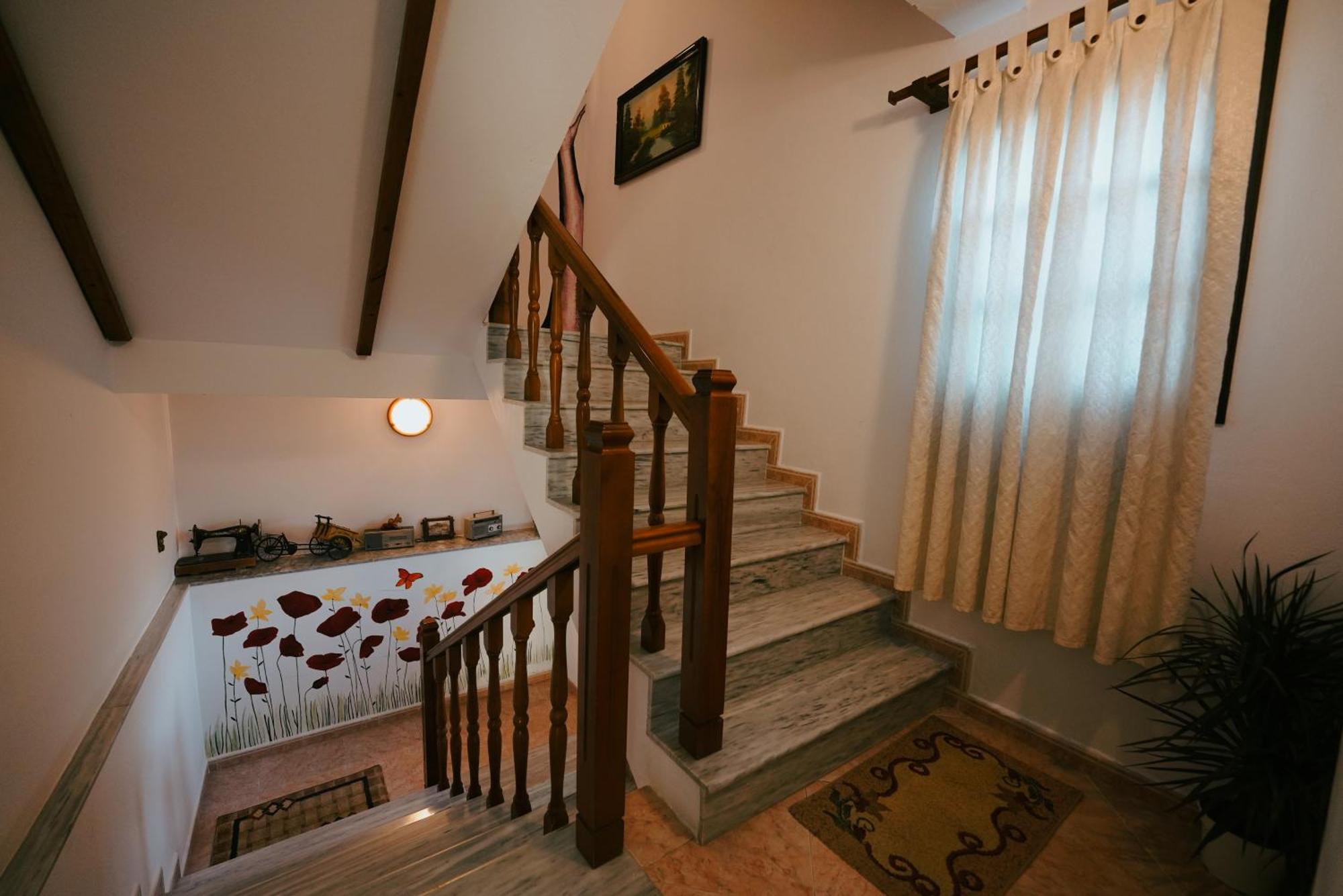 Maya Hostel
